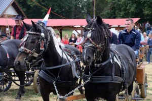 4. Međunarodna svetoivanjska konjička revija