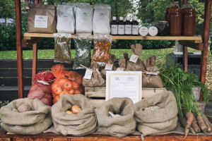 Organska proizvodnja porodice Stupar