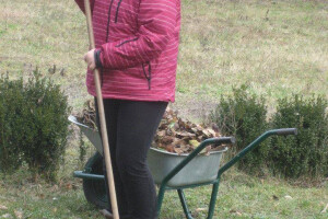 Na imanju gaje batat, bamiju, ljekovito bilje, voće...