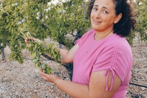 OPG Iva Bulić: Navodnjavani "kraljevi krša" u Korlatu izrastaju u careve