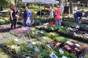 56. Međunarodna vrtna izložba cvijeća Floraart na zagrebačkom Bundeku