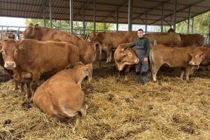 Stočari Antonio Kiš i Radenko Jeremić