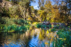 Fotografije Jelene Potrebić - pobednica RuralFoto 2024 u kategoriji selo