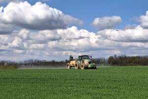 Prolećni tretman strnih žita