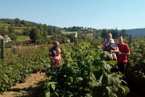 Malinarska obitelj Čaušević