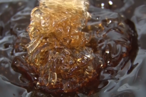 Prihrana pčela i Kolakovo pčelarstvo