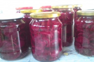 Cikla - kraljica zimnice