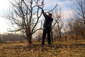 Okusi djetinjstva u proizvodima Teta Jaca