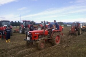 Oranje u Požegi - prvenstvo Hrvatske