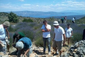 Radionica izgradnje suhozida