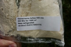 Tretiranje šljivine osice u uvjetima eko uzgoja