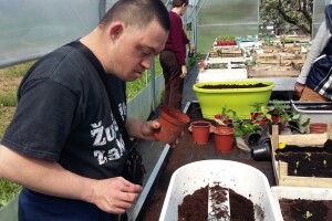 Poljoprivreda kao radna terapija