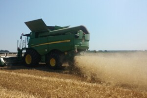 Novocommerce International Dani polja