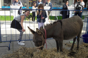 Održana 1. City Farma u Osijeku