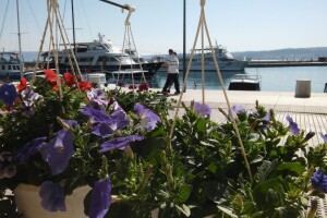 Sajam cvijeća u Crikvenici