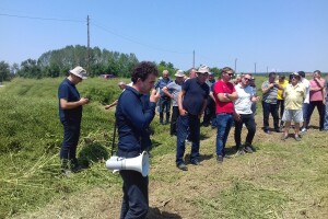 Dan polja uljane repice Bc Instituta u Starom Topolju