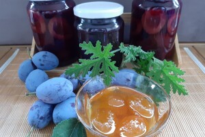 Stopama predaka proizvode i prerađuju voće i povrće