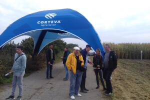 Pioneer kukuruz - pokusna polja u Klisi