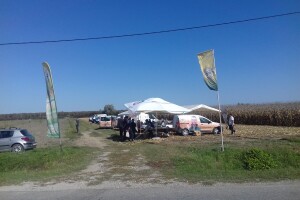 Bc Institut u Starom Topolju