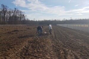 U Loznici i tokom prošle godine leska najpopularnije voće