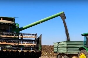 FAZOS: Žetva suncokreta u komparativnom pokusu