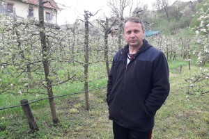 Prijić: Sve je traženije domaće voće i povrće