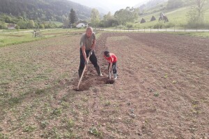 Proljetni radovi na mom imanju