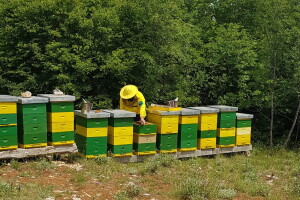 OPG Goran Milošević