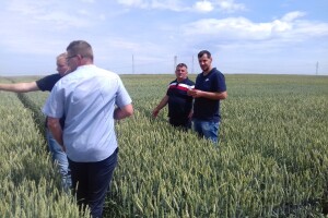 Dan polja Bc Instituta u Lovasu