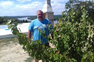 Vila Katarina u Aljmašu