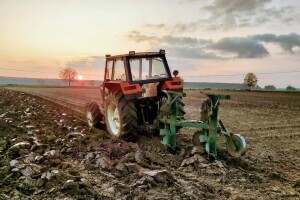 OPG Marko Makarević