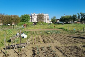Urbani vrtovi u Osijeku