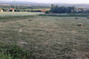 Đubrenjem livada dobija se kvalitetnije seno