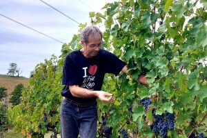 Oksana Sadžik: Bosanska zemlja i francuski hrast naše vino čine posebnim i prepoznatljivim