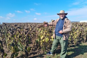 Dani polja suncokreta FAZOS