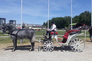 Takmičenje fijakera na 89. Međunarodnom sajmu poljoprivrede