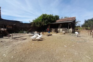 Gospodarstvo Drage Čape