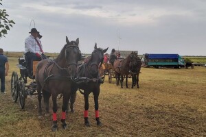 Gradištanska fijakerijada