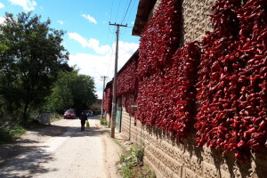 Donja Lokošnica je i ove jeseni "carstvo paprike"