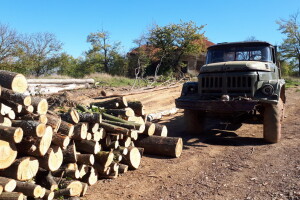 U planinu po drva kamionima starim jedan vek