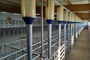 Farma "Braća Parlagić"