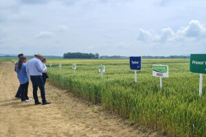 Dan polja pivarskog ječma Axereal