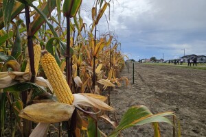 Dan polja BC kukuruza i sorata soje u Rugvici