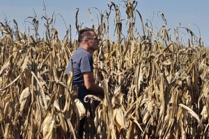 Dan polja i javna vršidba BC hibrida kukuruza i sorata soje na pokušalištu FAZOS-a
