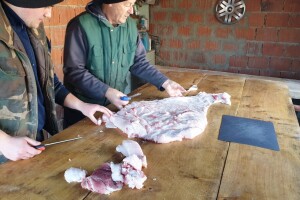 Svinjokolja na OPG Rastija