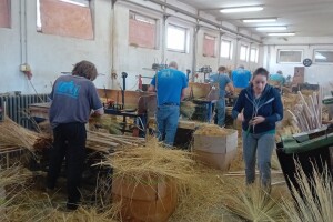 Proizvodnja metle u Bačkom Petrovcu