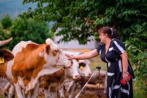 OPG Anić iz Krasnog