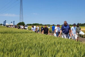 AgroChem MAKS - program SelectiS