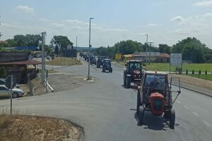 Protest Stig, Požarevac