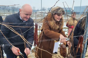 Vinceška Belje 2026